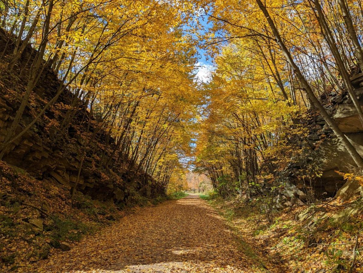 Stay In Ohiopyle In The Middle Of Town By The Gap Trail エクステリア 写真