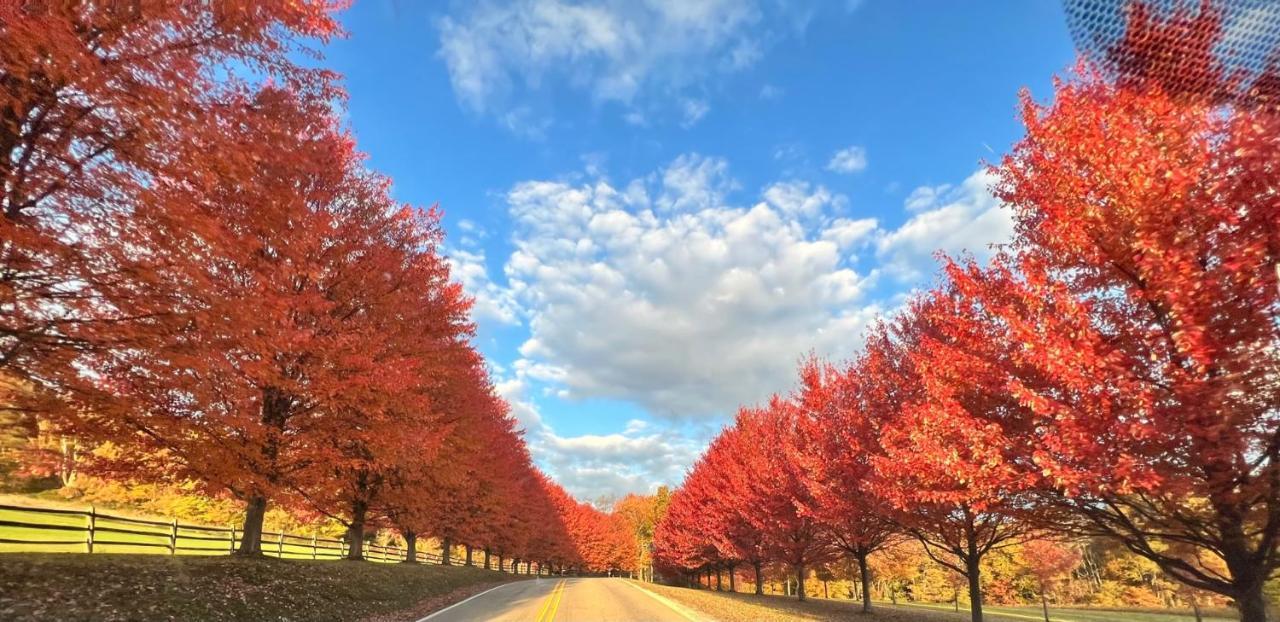 Stay In Ohiopyle In The Middle Of Town By The Gap Trail エクステリア 写真